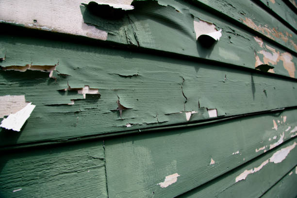 Best Hoarding Cleanup  in Del Mar, CA